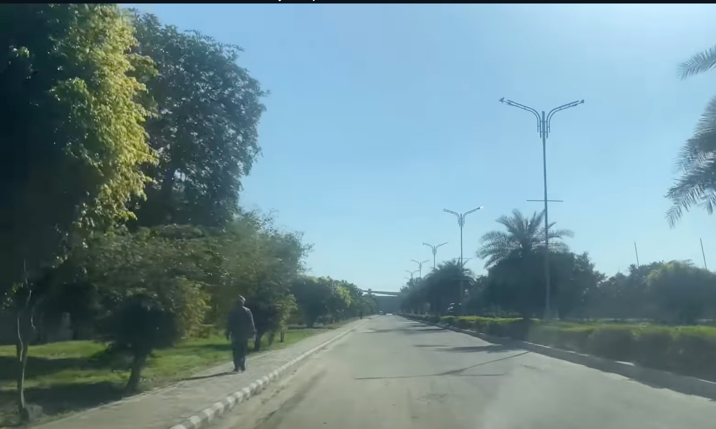 Tree lined roads
